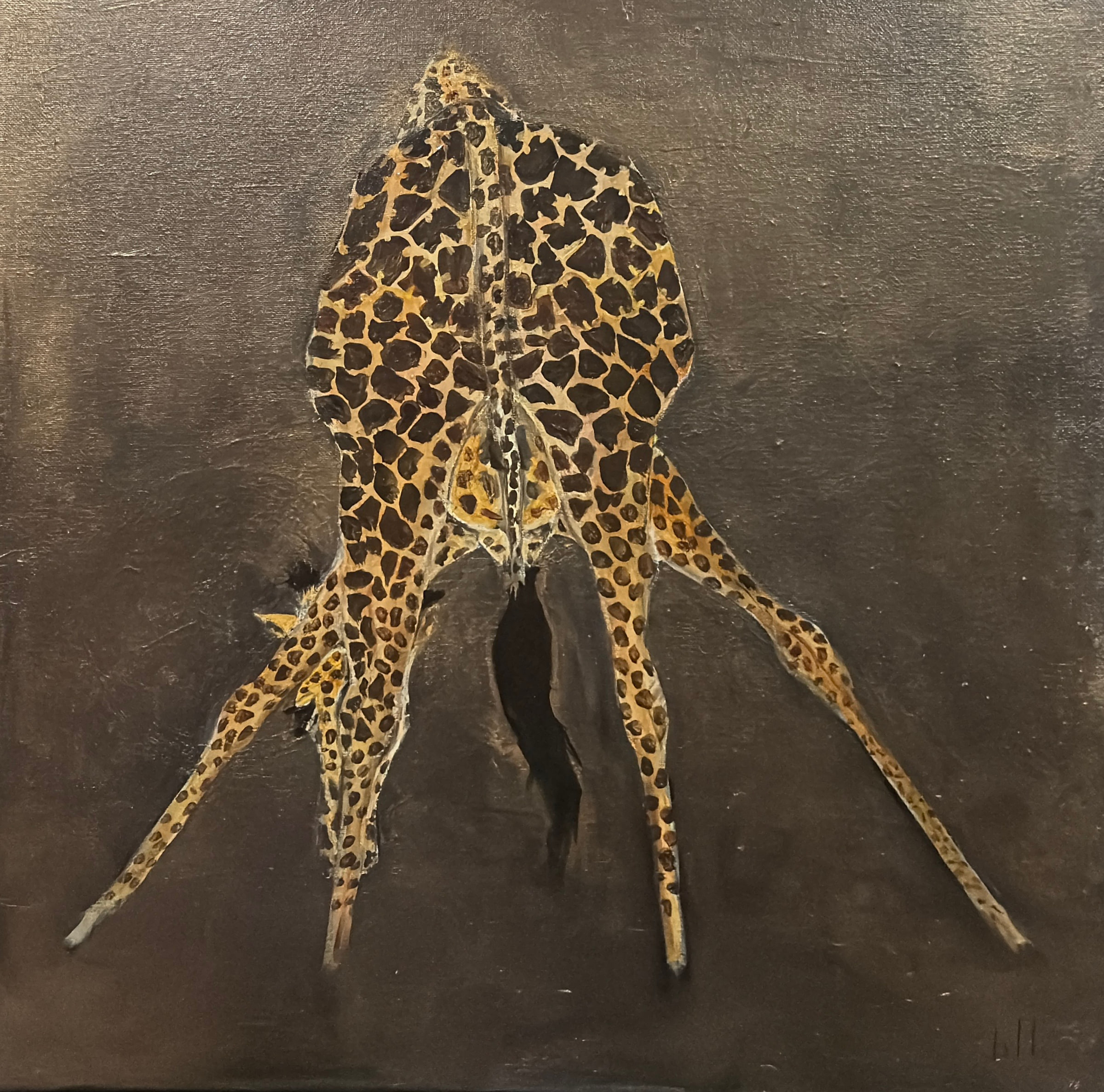 Giraffe by Jill Drllevich