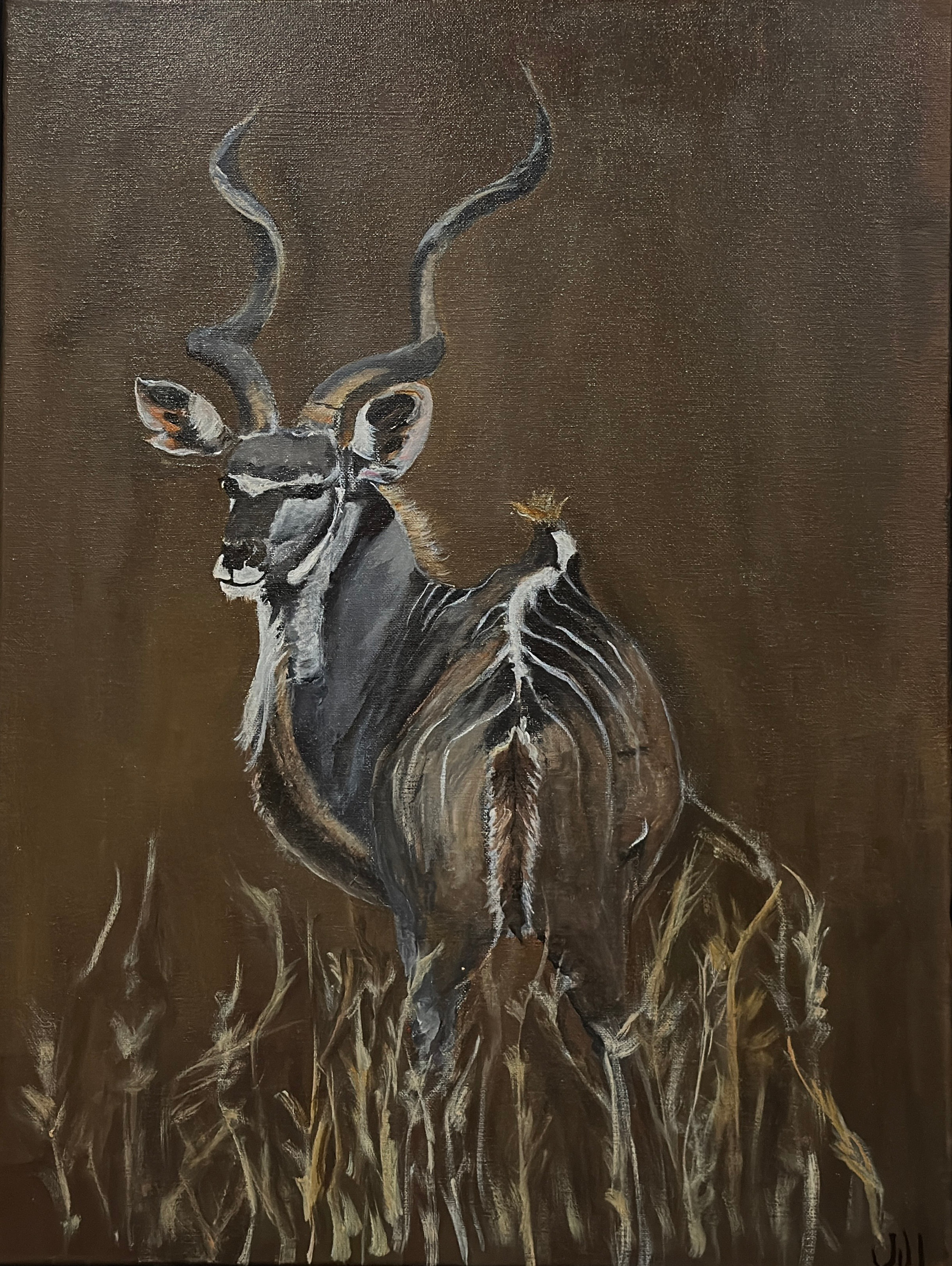 Greater Kudu by Jill Drllevich