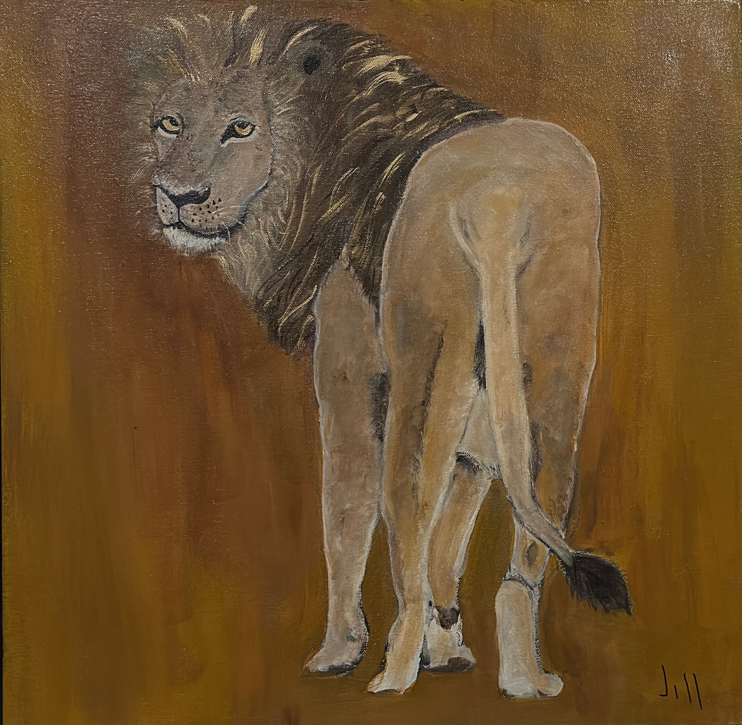 Lion by Jill Drllevich