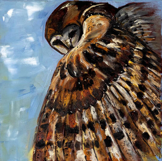 Owl Intrigue by Jill Drllevich