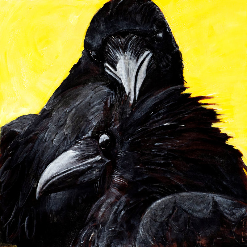 Raven Love by Jill Drllevich