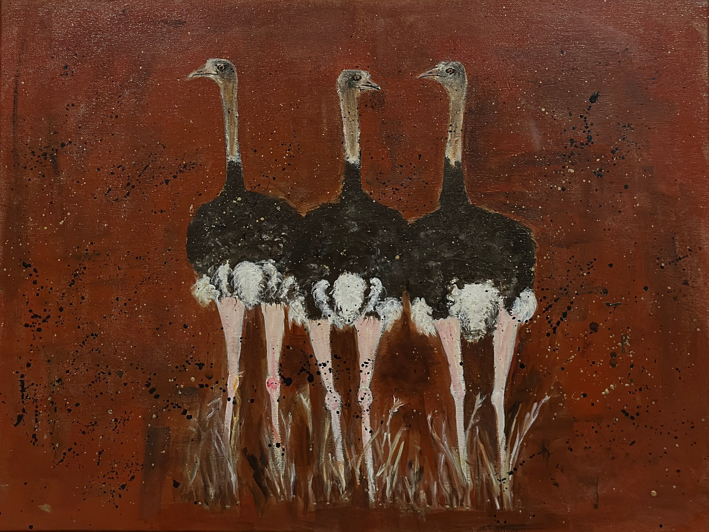 Three Amigos Ostriches by Jill Drllevich