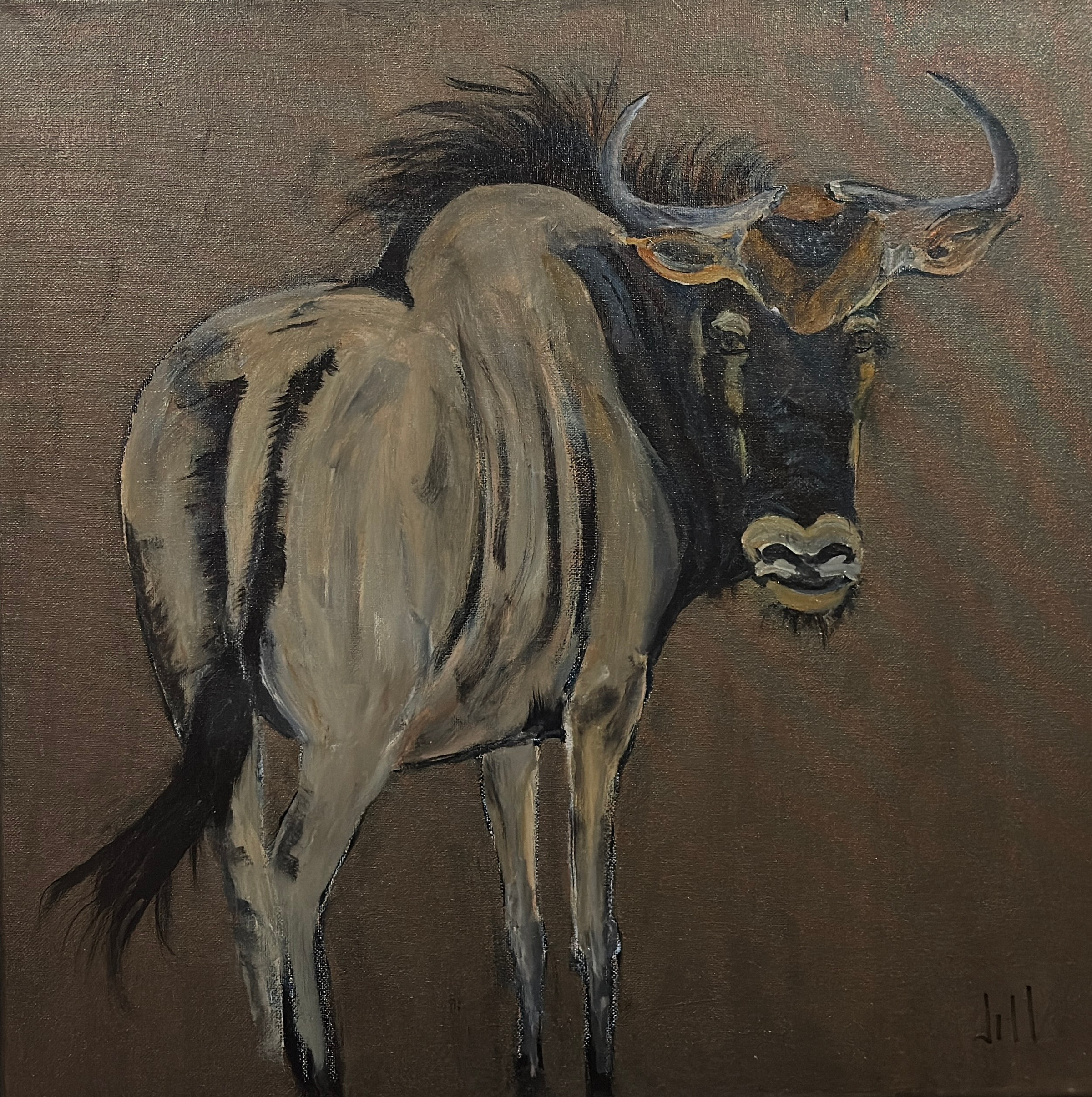 Wildebeest by Jill Drllevich
